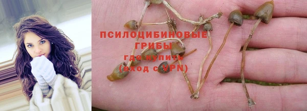 spice Балабаново